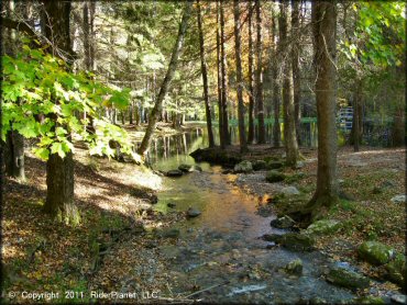 Scenery at Pittsfield State Forest Trail