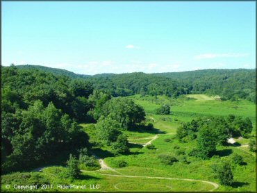 Scenic photo of single track trails winding through grassy meadows and hardwood trees.