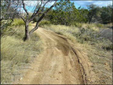 A trail at Redington Pass Trail