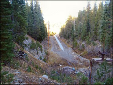 Scenery from Jackson Meadows Trail