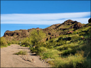 Craggy Wash Trail