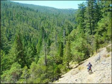 Girl on a Honda CRF Dirt Bike at High Dome Trail