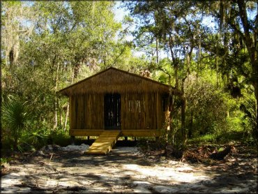 Tiki hut surrounded by oak trees, palmetto palms and spanish moss.