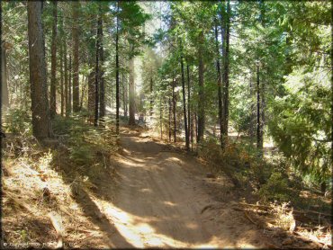 Some terrain at Gold Note Trails