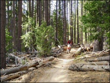 Corral OHV Trail