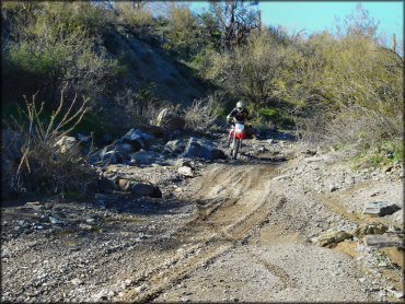 Man on Honda dirt bike riding through a rocky section.