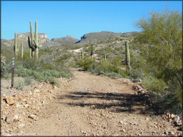 Example of terrain at Mescal Mountain OHV Area Trail