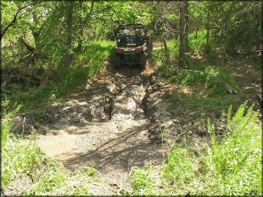 Cedar Run ATV Trail