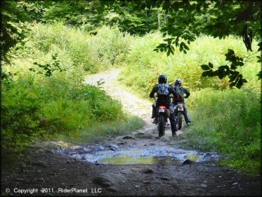 Pisgah State Park Trail