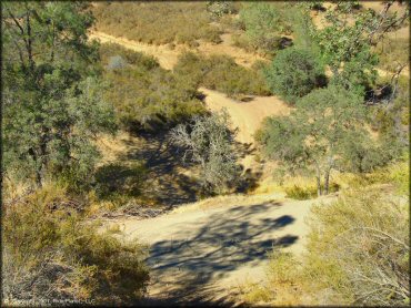 A trail at Frank Raines OHV Park Trail