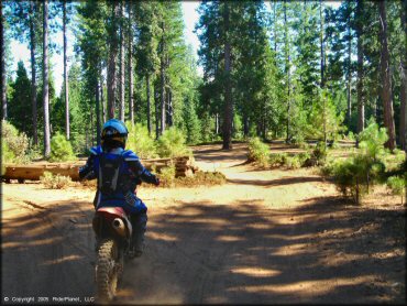 Honda CRF Off-Road Bike at Gold Note Trails