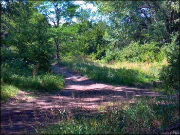 Terrain example at Council Grove Lake ORV Area Trail