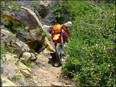 KTM Dirt Bike at Ortega Trail
