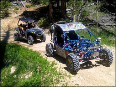 Pine Lake OHV Trail