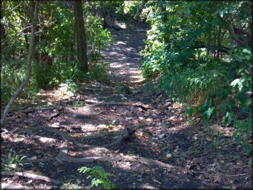 Some terrain at Council Grove Lake ORV Area Trail