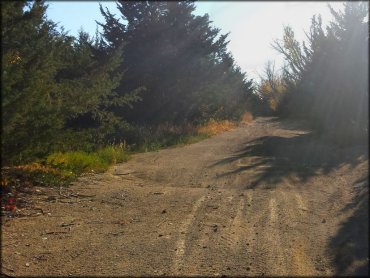 School Creek ORV Area Trail