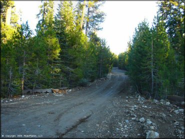 Jackson Meadows Trail