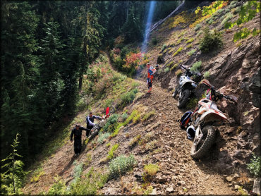 Gifford Pinchot Trail