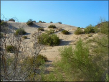 A trail at Copper Basin Dunes OHV Area