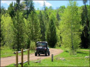 Polaris UTV going down trail surrounded by various pine and aspen trees.