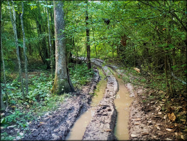 Rednecks ATV Park and Campground Trail