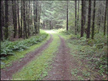 Terrain example at South Valley Resource Area Trail