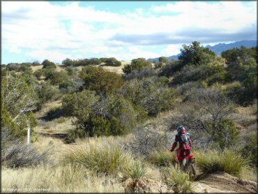 Honda CRF Motorcycle at Redington Pass Trail