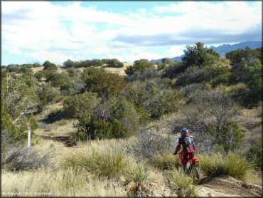 Honda CRF Trail Bike at Redington Pass Trail