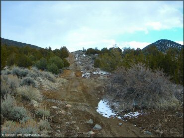 Terrain example at Old Sheep Ranch Trail