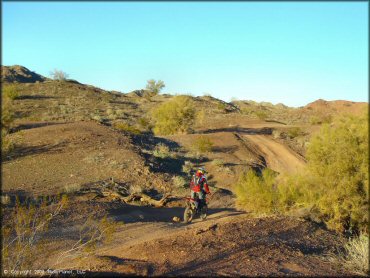 Shea Pit and Osborne Wash Area Trail