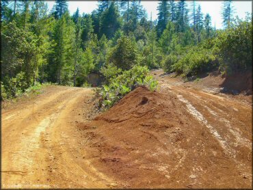 Rattlesnake Ridge Area Trail