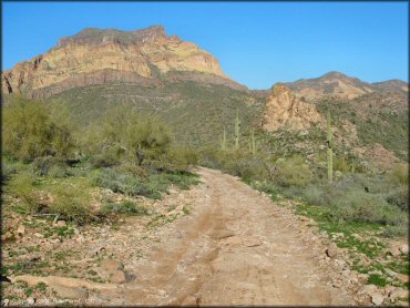 A trail at Bulldog Canyon OHV Area Trail