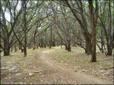 Emma Long Metropolitan Park Trail