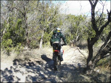 Honda CRF Trail Bike at Redington Pass Trail