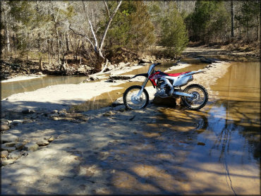 Huckleberry Mountain Horse Trail