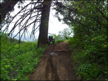 Ridge To Rivers Trail System