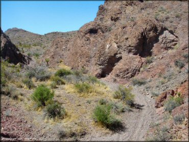 Terrain example at Nelson Hills Trail