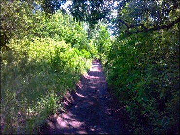 Example of terrain at Spillway Cycle Area Trail
