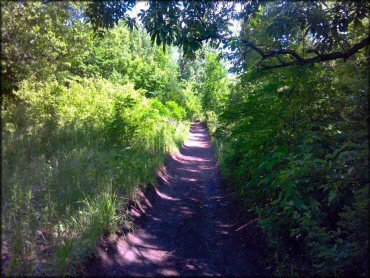 Some terrain at Spillway Cycle Area Trail