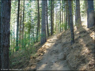 Example of terrain at Gold Note Trails