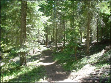 Terrain example at Prospect OHV Trail System