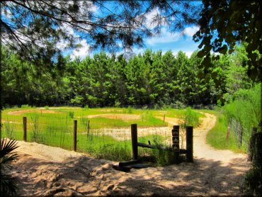 View of peewee motocross track taken from ATV trail.