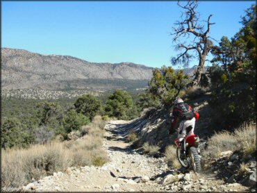 Big Bear Lake Trail