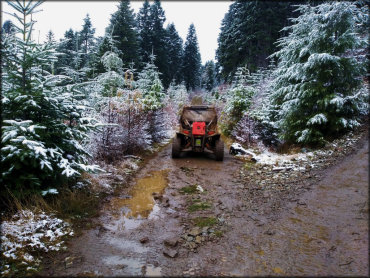 Jones Creek Trail System