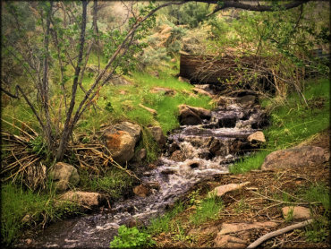 Cold Springs Station Trail