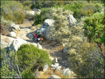 Woman on Honda dirt bike going up a short section of ATV trail surrounded by large boulders.