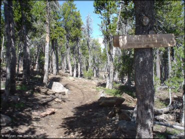 Some terrain at Crane Mountain OHV Trail