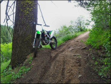 Ridge To Rivers Trail System