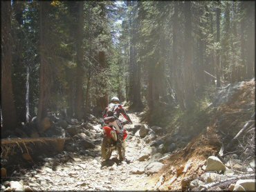 Honda CRF Motorcycle at Lower Blue Lake Trail