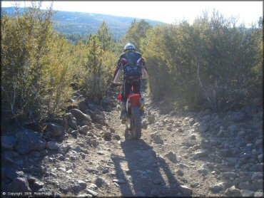 Honda CRF Dirt Bike at Hunter Lake Trail